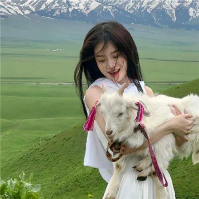 麦斯维尔
