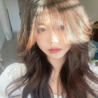 弗兰肯斯坦的军队